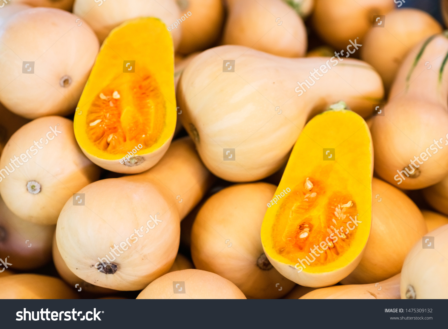 Fresh Honeynut Butternut Squash at a produce stand. Raw Orange Organic Butternut Squash Ready to Bake. Butternut Squash textured background selective focus. #1475309132