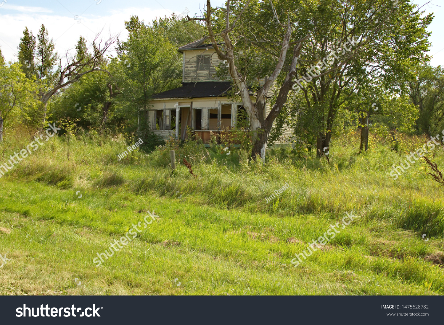 A torn apart old abandoned house peeking through the trees and overgrown lot. #1475628782
