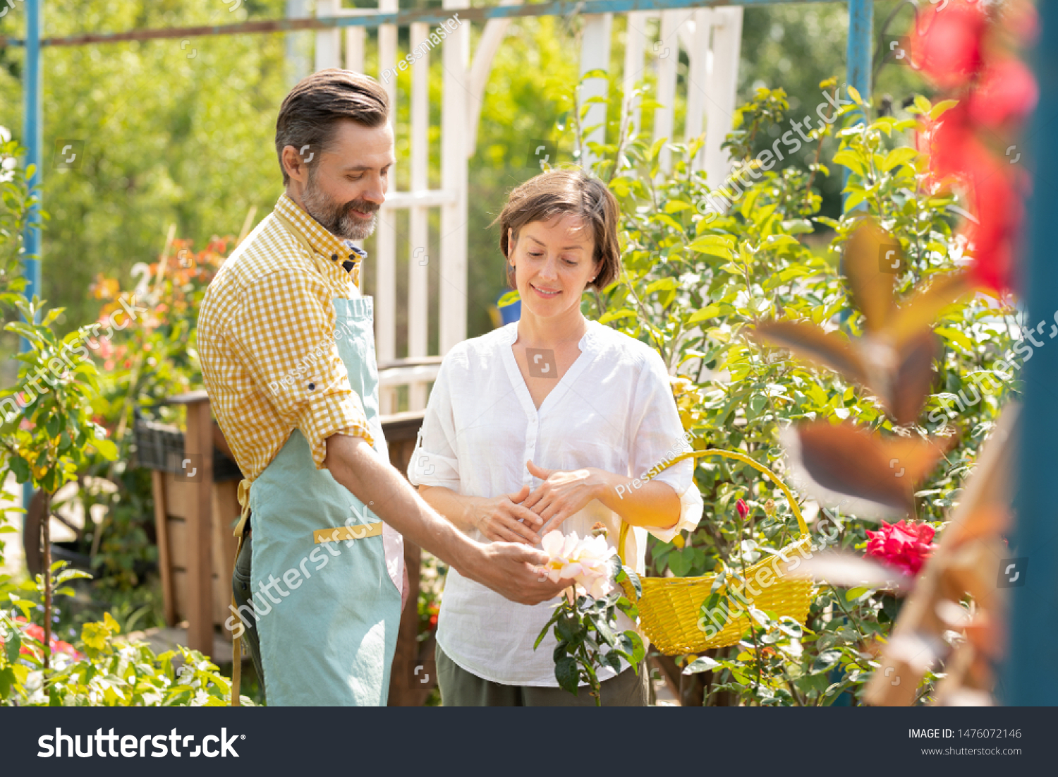 Contemporary gardener showing woman new sorts of white flowers growing in pots #1476072146