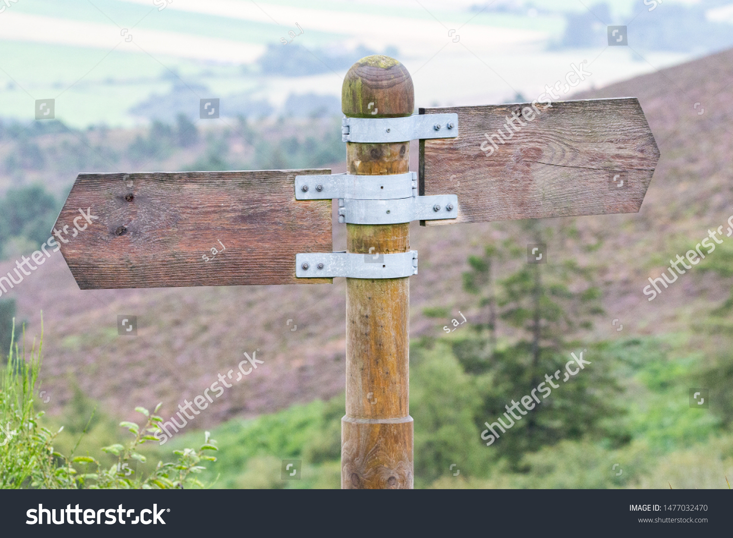 Blank Wooden signpost pointing in opposite directions #1477032470