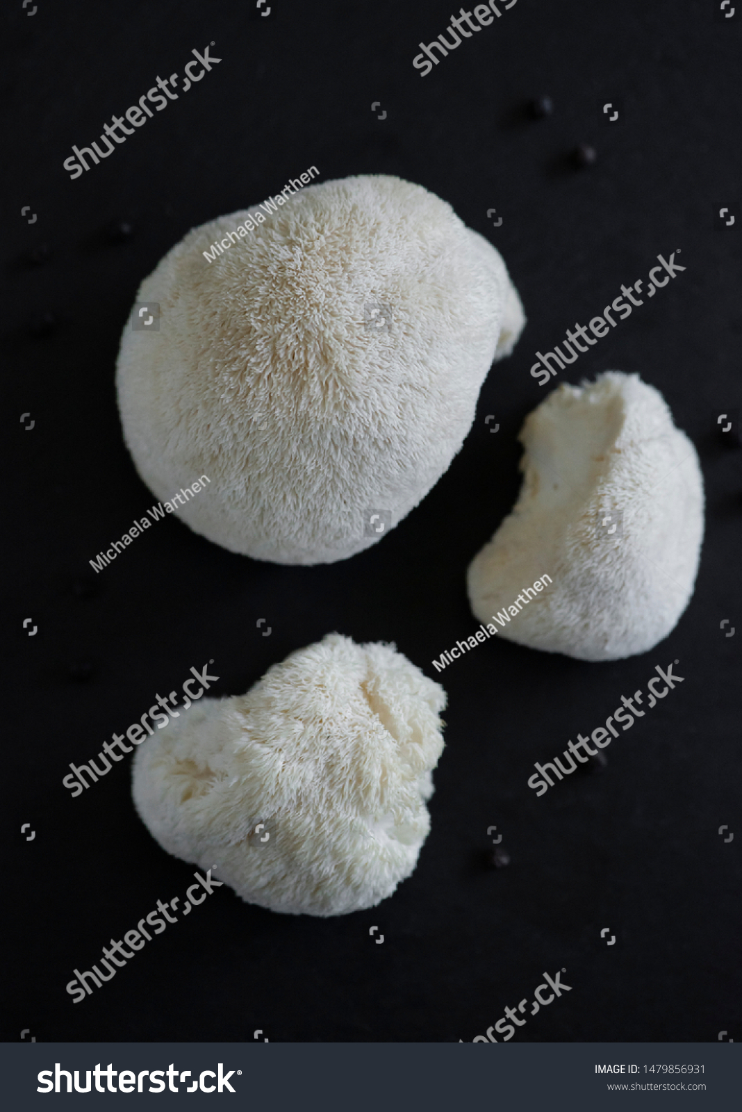 pale lion's mane mushrooms, macro lion's mane fungus, Hericium erinaceus, exotic mushrooms, edible fungus #1479856931