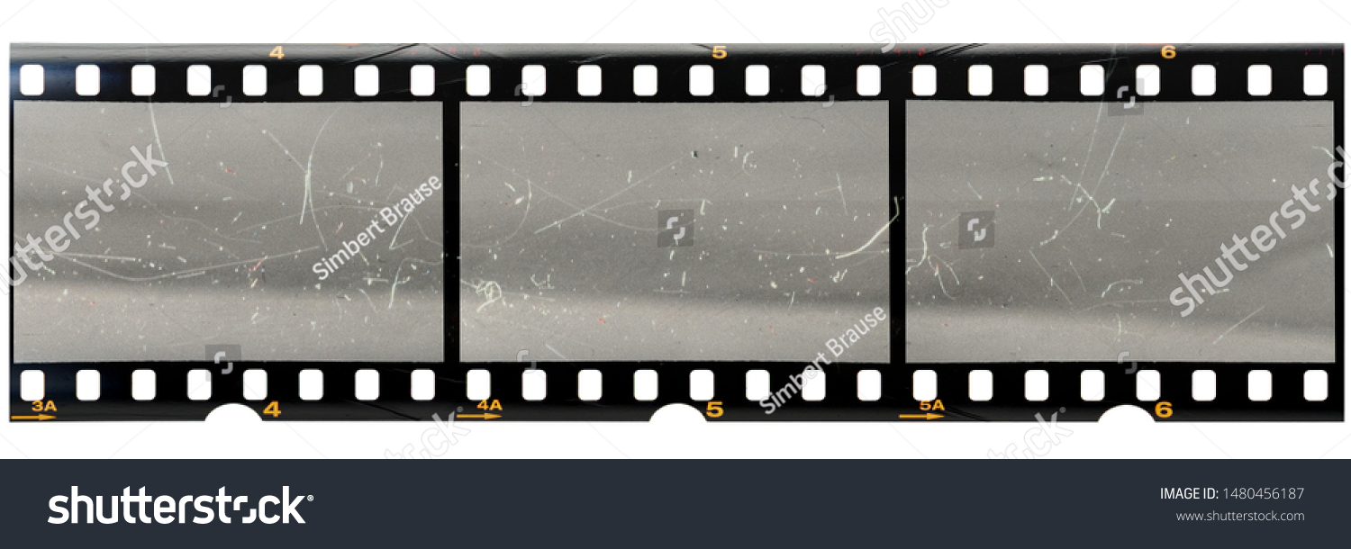 original 35mm filmstrip with empty dusty frames or cells and nice texture on the border, fluffs on film material, real film grain #1480456187