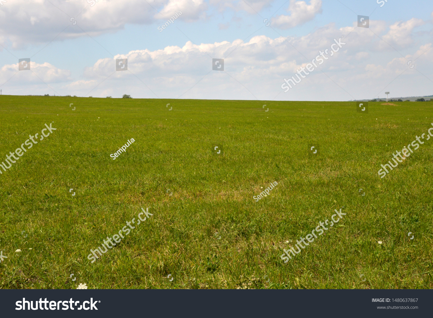 beautiful view of fields and mountains, mowed grass and haystacks, in summer, on a hot day. #1480637867