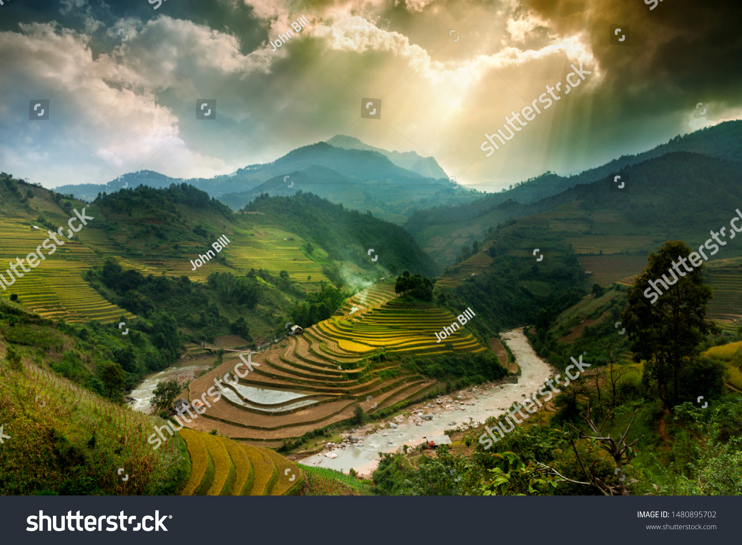 Rice fields on terraced of Mu Cang Chai, YenBai, Vietnam. Vietnam landscapes. #1480895702