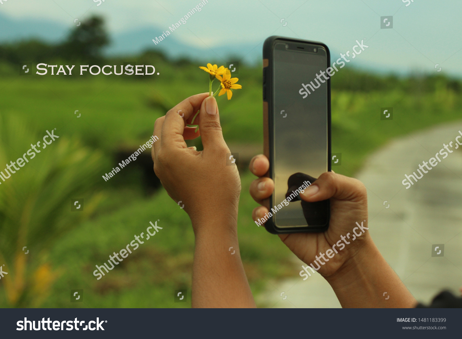 Inspirational motivational quote - Stay focused. With one human hand holds little yellow flowers and the other hand holds a smartphone. Hand phone photographer in life focus concept. #1481183399