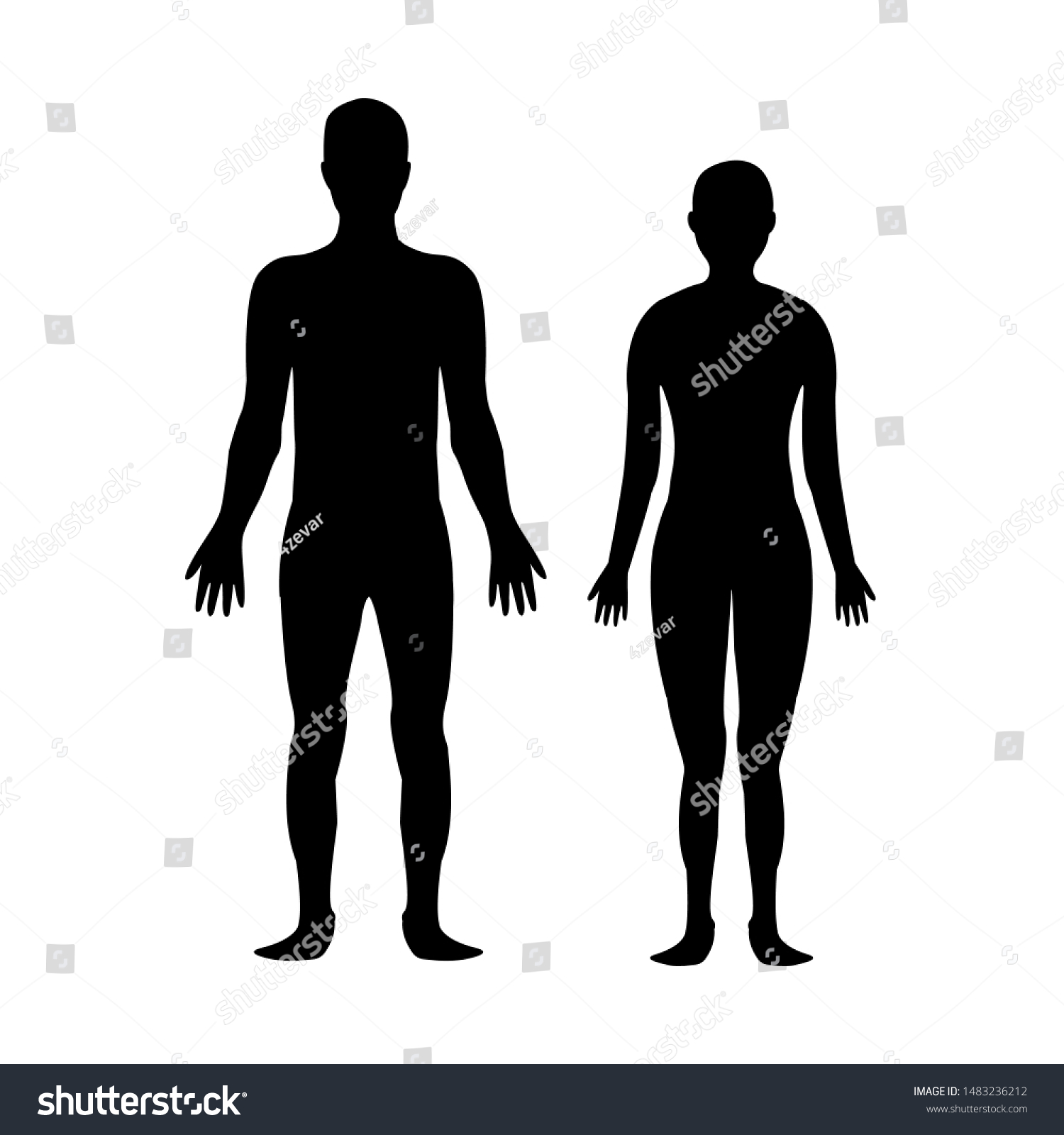 Male and female body silhouette template. - Royalty Free Stock Vector ...