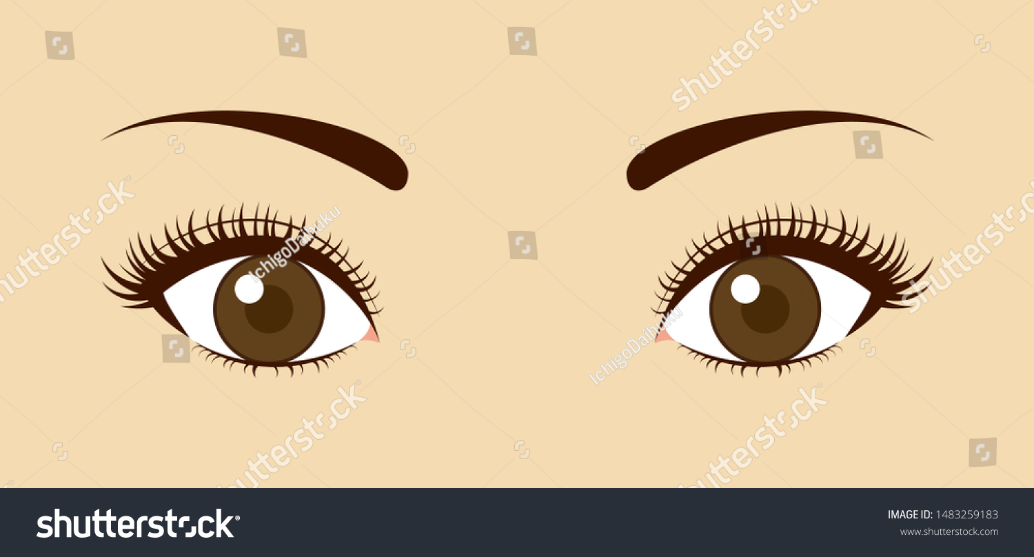 Close Up Of Eyes With Long Eyelashes - Royalty Free Stock Vector ...