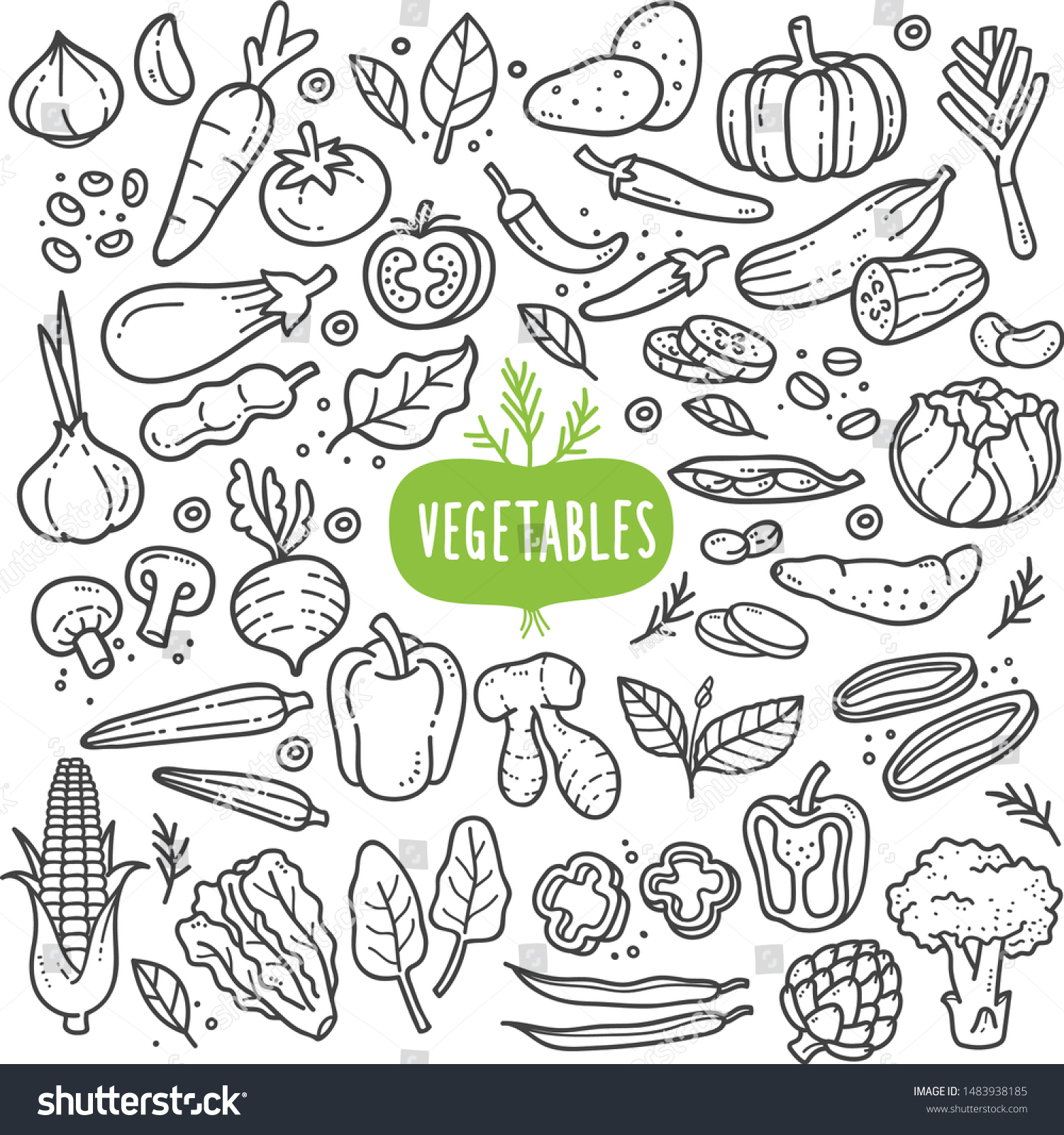 Vegetables doodle drawing collection. vegetable such as carrot, corn, ginger, mushroom, cucumber, cabbage, potato, etc. Hand drawn vector doodle illustrations in black isolated over white background. #1483938185