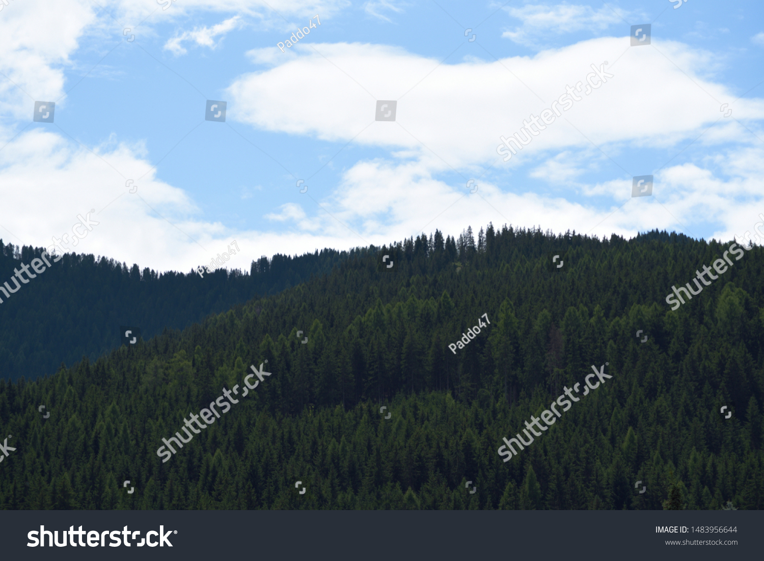 Woods on woods in the mountain valley #1483956644