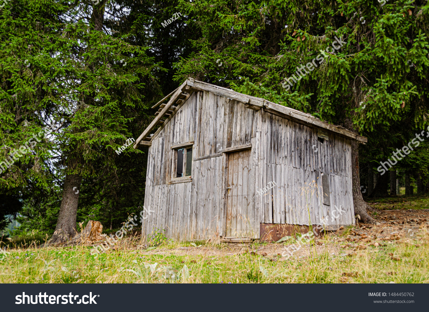 Old and creepy wooden shack hidden in the woods - Royalty Free Stock ...