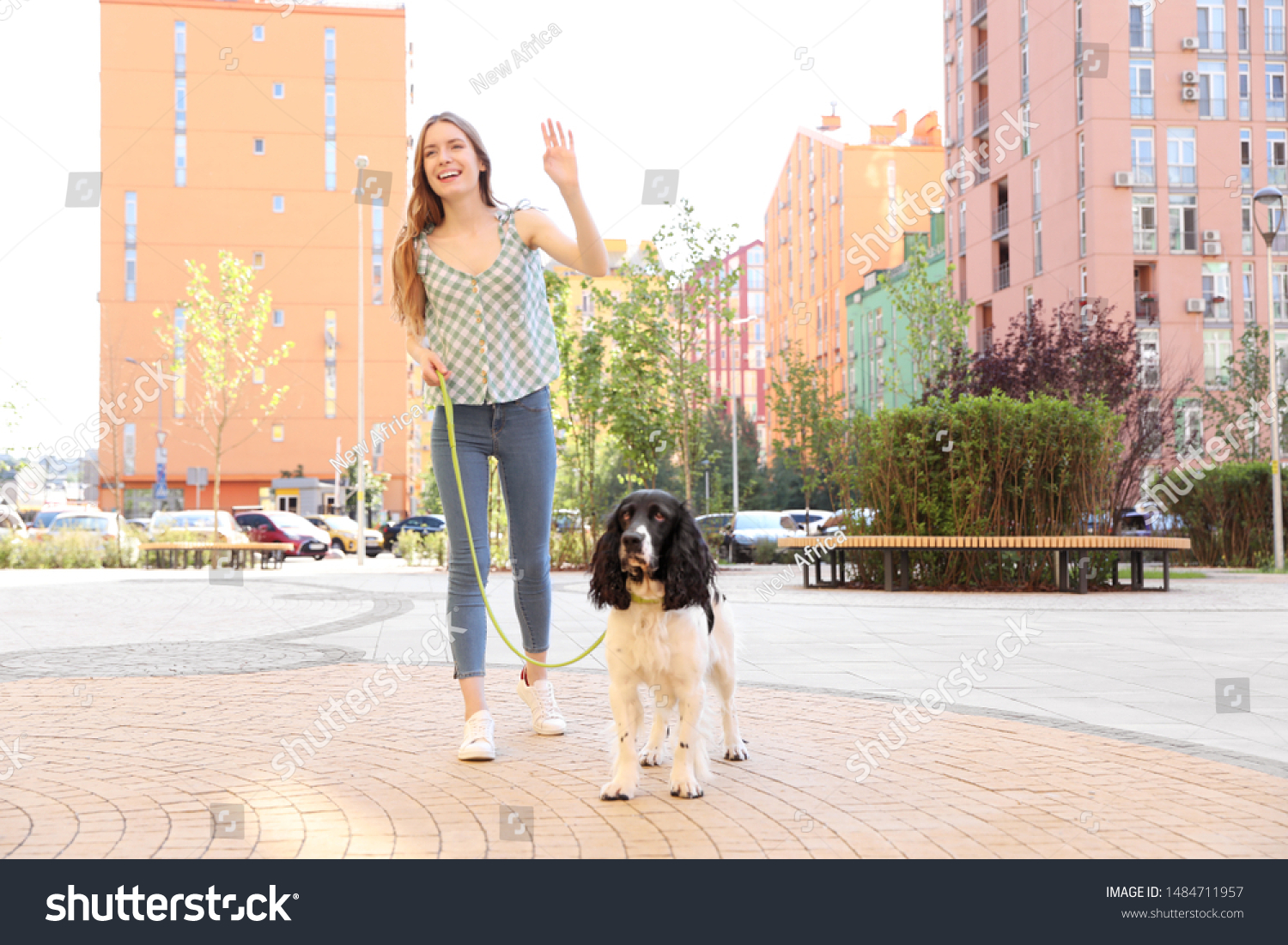 Woman walking English Springer Spaniel dog outdoors #1484711957