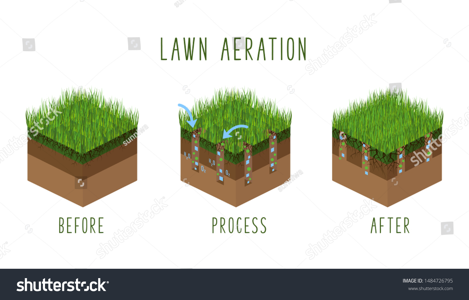 Lawn aeration process steps, isometric - before - Royalty Free Stock ...