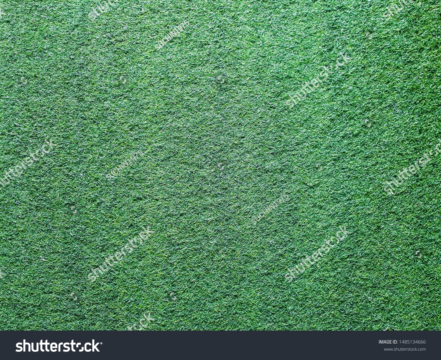 Green grass,Green background,Green carpet,Green lawn,background #1485134666