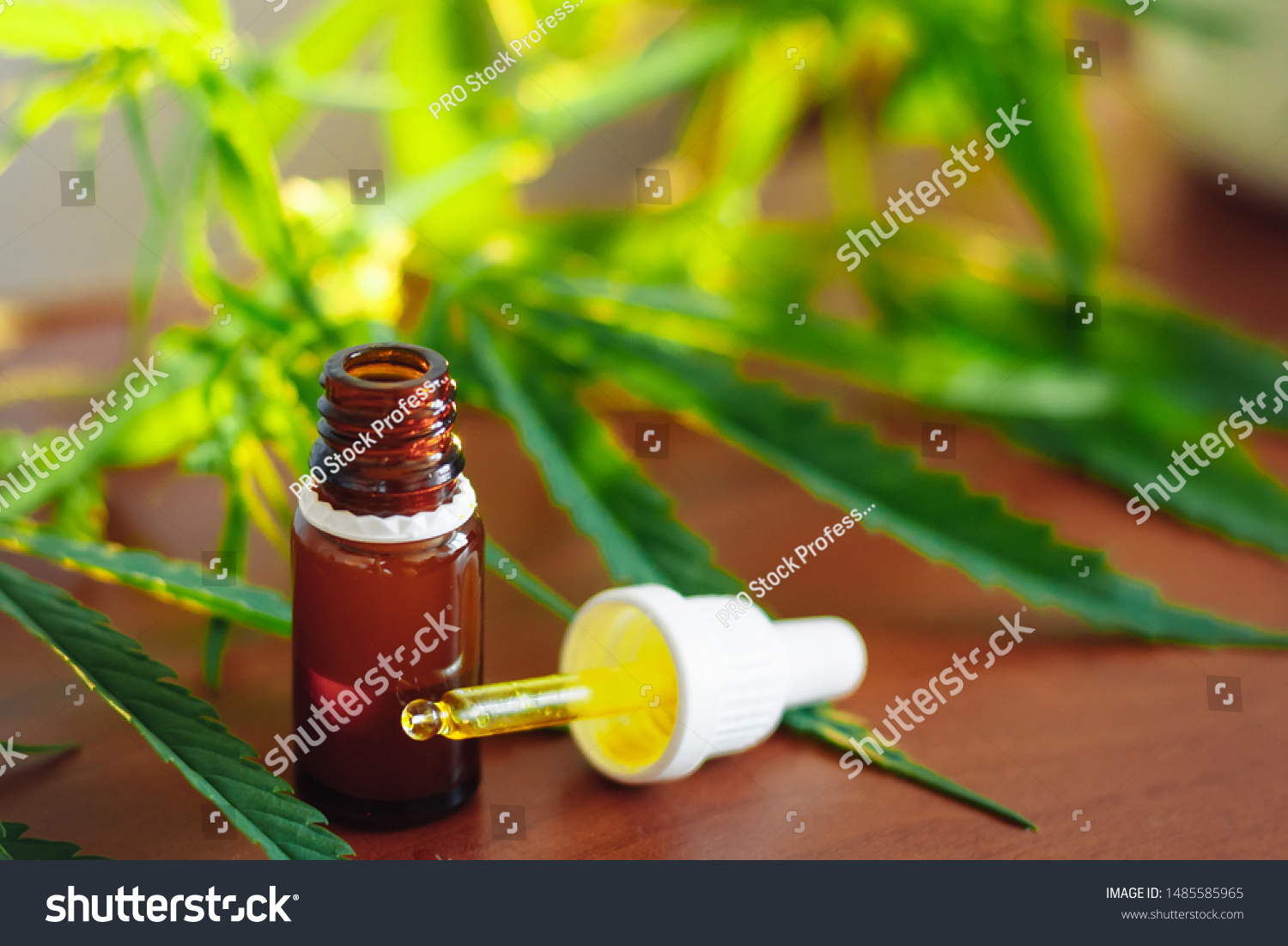 CBD oil cannabis extract. Hemp oil bottles and hemp flowers on wooden table. Medical cannabis concept. CBD Extract Tincture Liquid Dripping  #1485585965