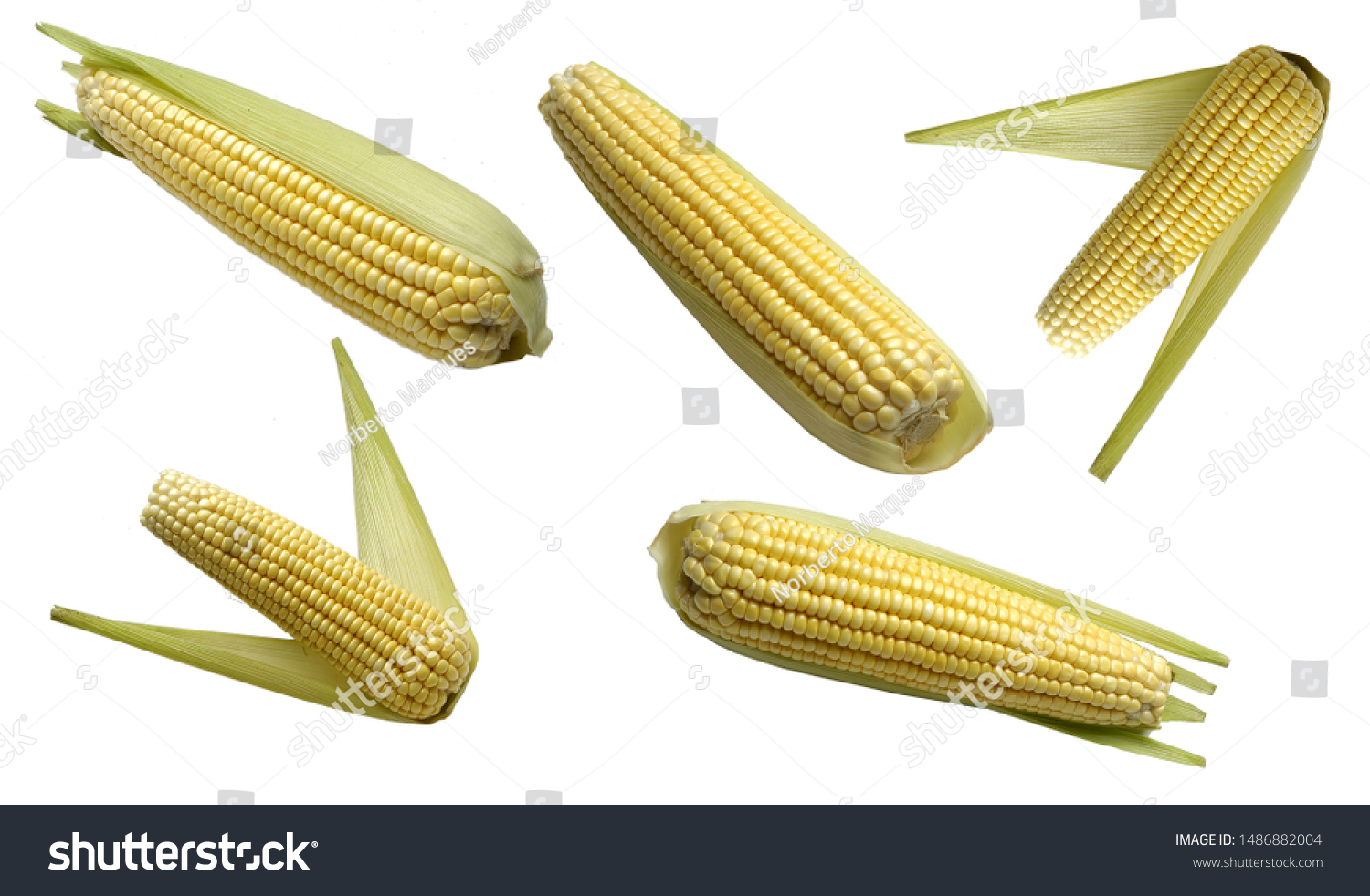     corn  corn cob  corn straw food                         #1486882004