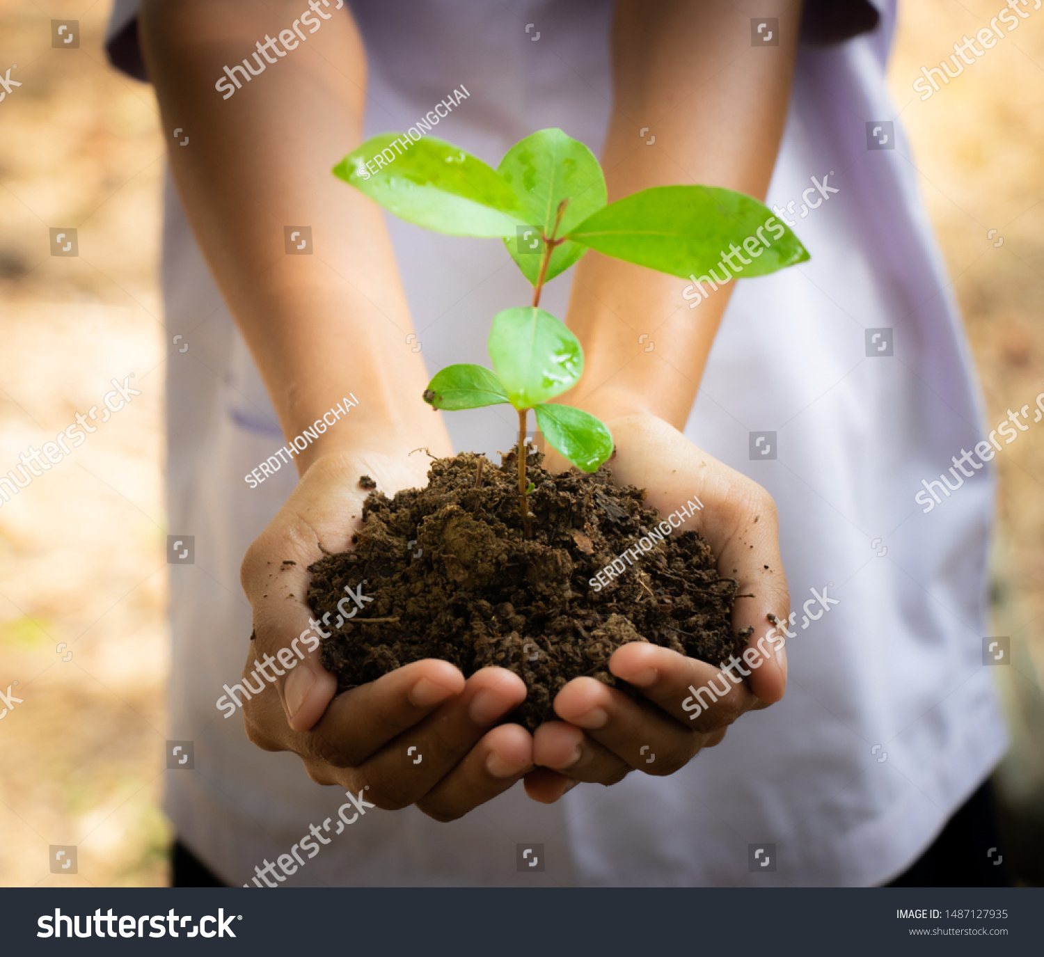 Planting trees, planting hands, planting trees, planting soil, saving earth and reducing global warming. #1487127935