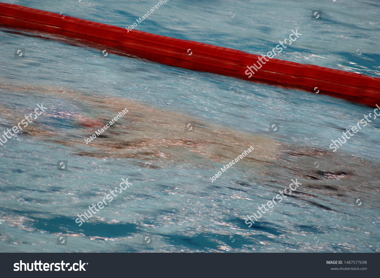 Swimming - swimming meet imagens and open water - triathlon #1487577698
