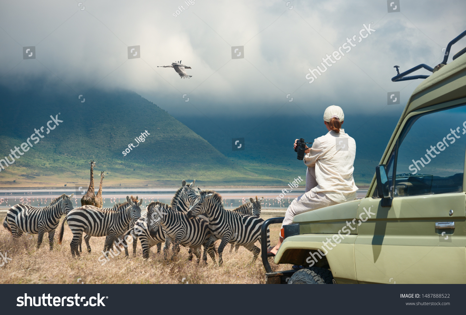 Woman tourist on safari-tour in Africa, traveling by car in Tanzania, watching wild animals and birds in the National park Ngorongoro. #1487888522