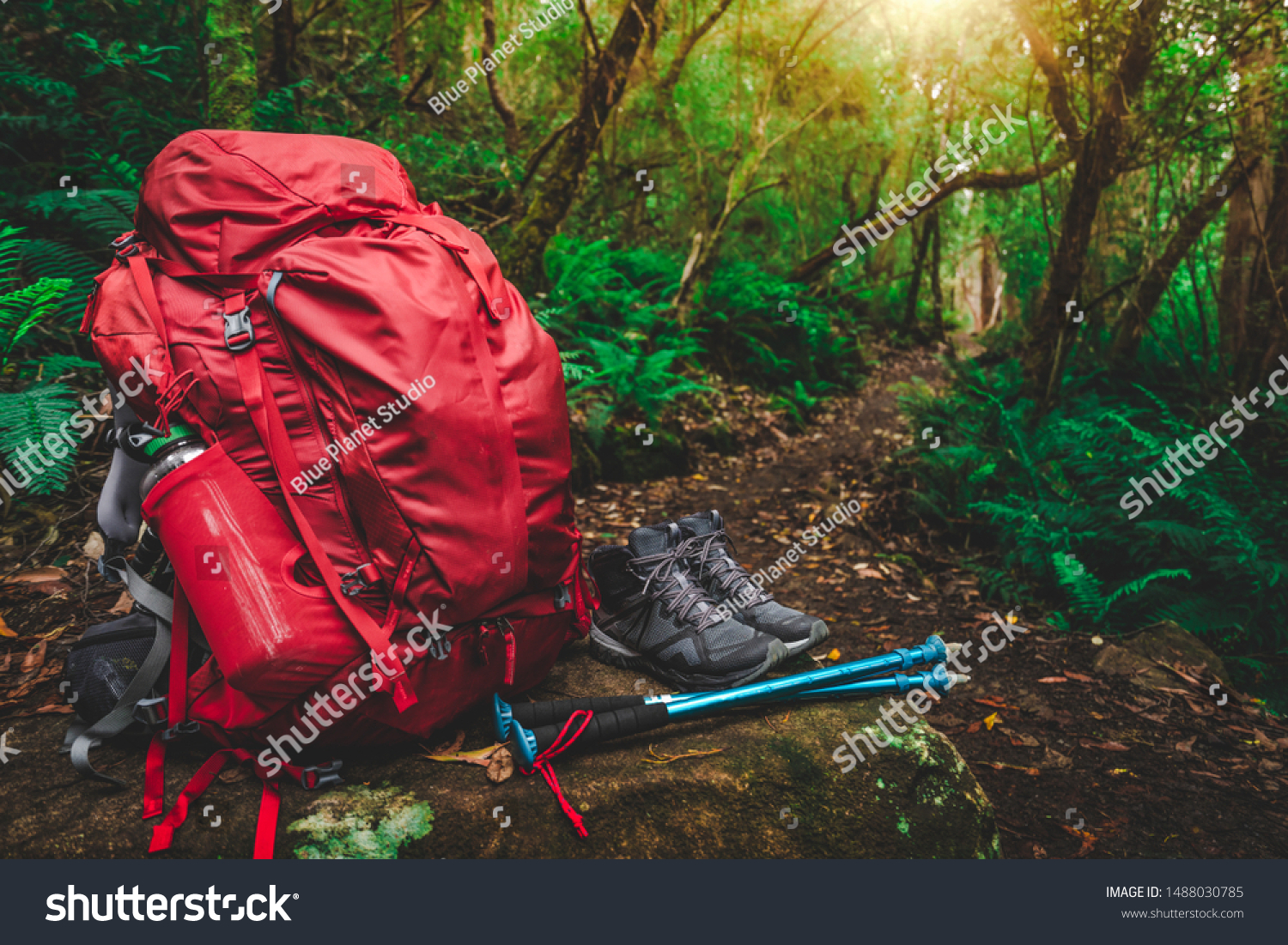 Red backpack, hiking boots, water bottle, hiking poles and supplies for hiker are placed on a large rock in lush rain forest path of Tasmania, Australia. Trekking camping and hiking adventure concept. #1488030785