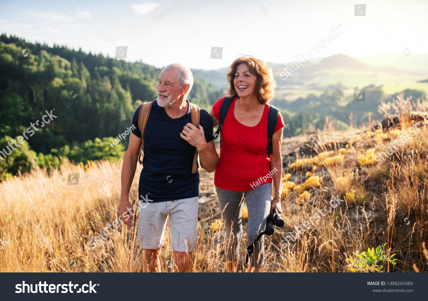 Senior tourist couple travellers hiking in nature, walking and talking. #1488265484