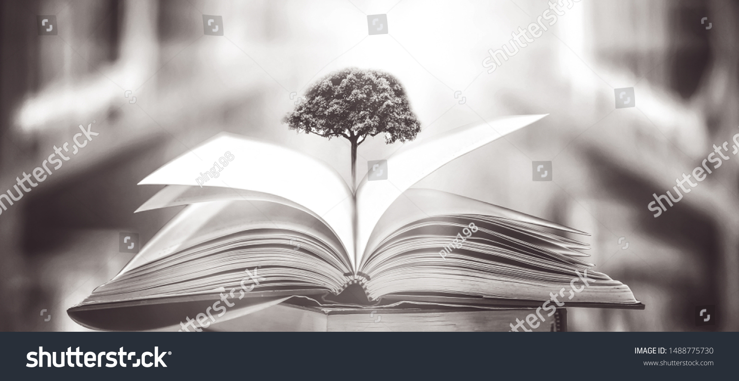 The concept of education by planting a tree of knowledge in the opening of an old book in the library and the magical magic of light that flies to the destination of success. Beautiful background #1488775730