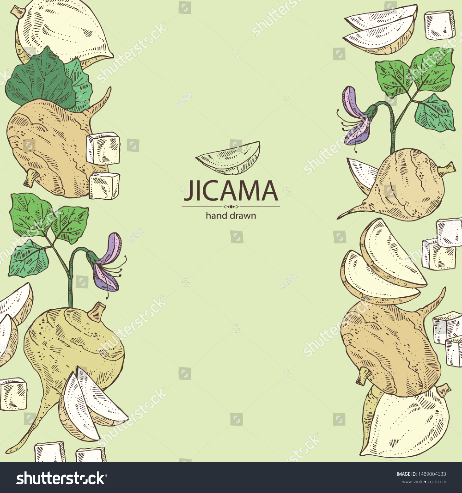 Background with jicama: tuber of jicama, leaves, - Royalty Free Stock ...