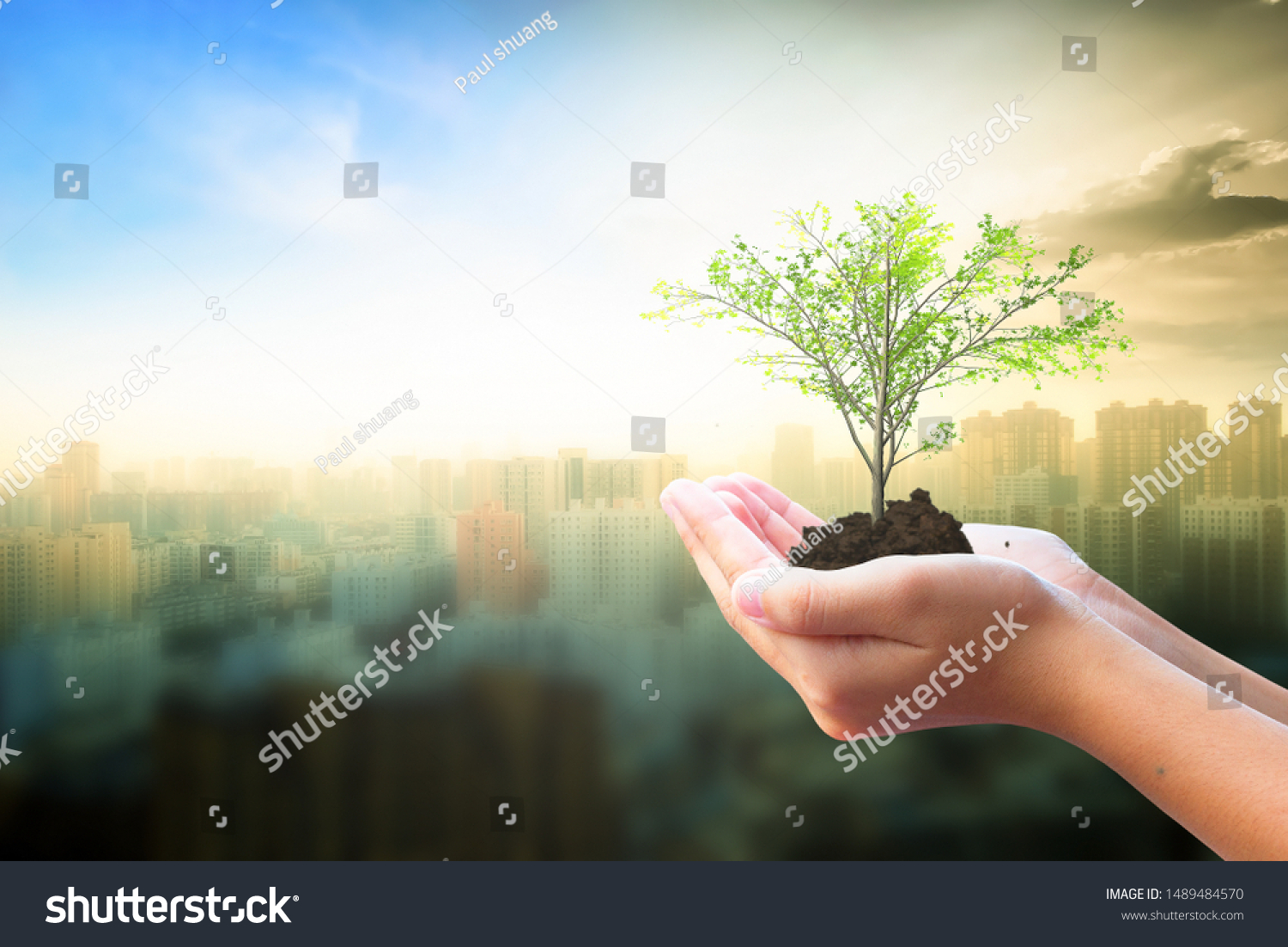 World Habitat Day concept: Human hand holding  tree over city  background #1489484570