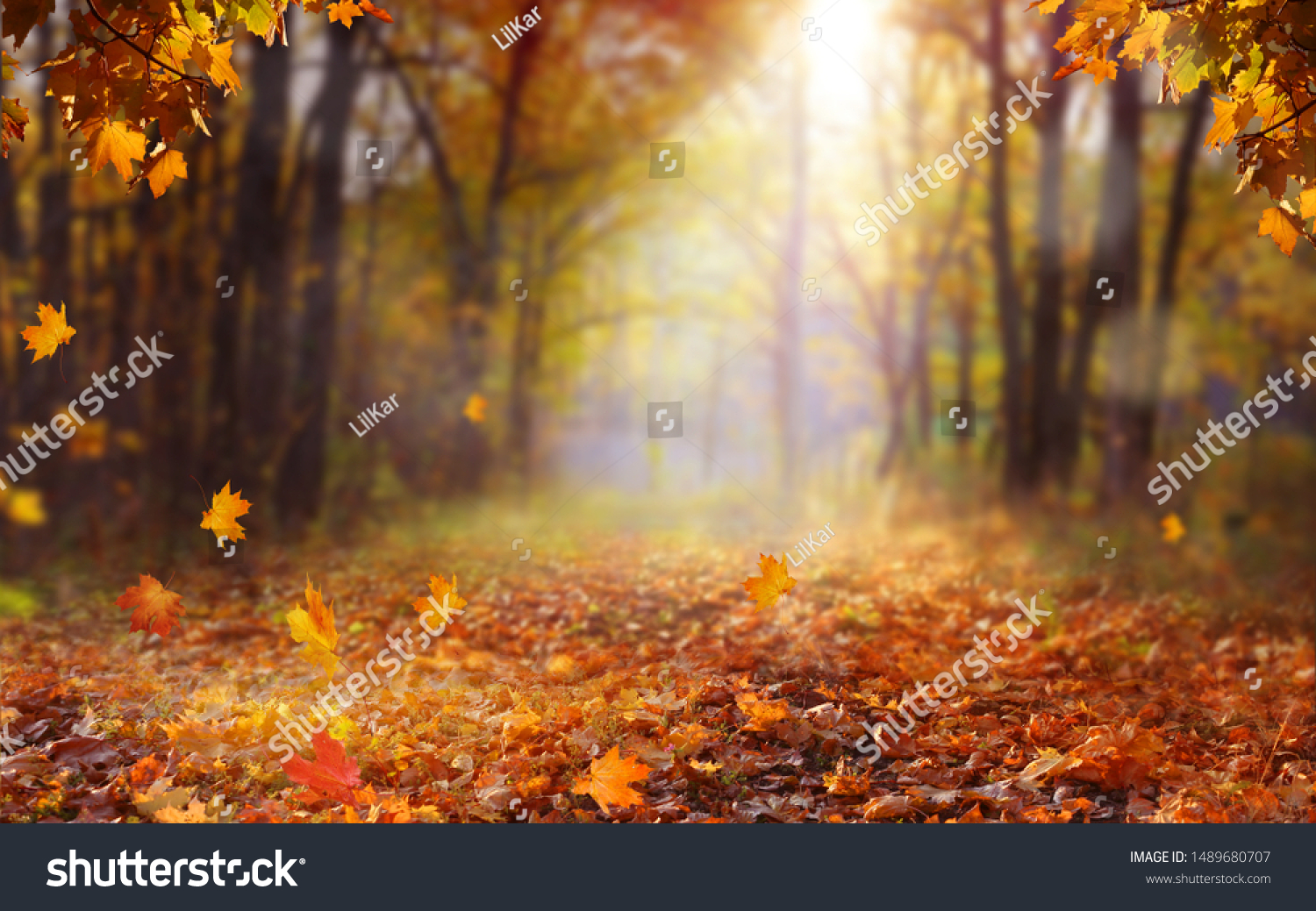 Beautiful autumn landscape with yellow trees and sun. Colorful foliage in the park. Falling  leaves natural background .Autumn season concept #1489680707