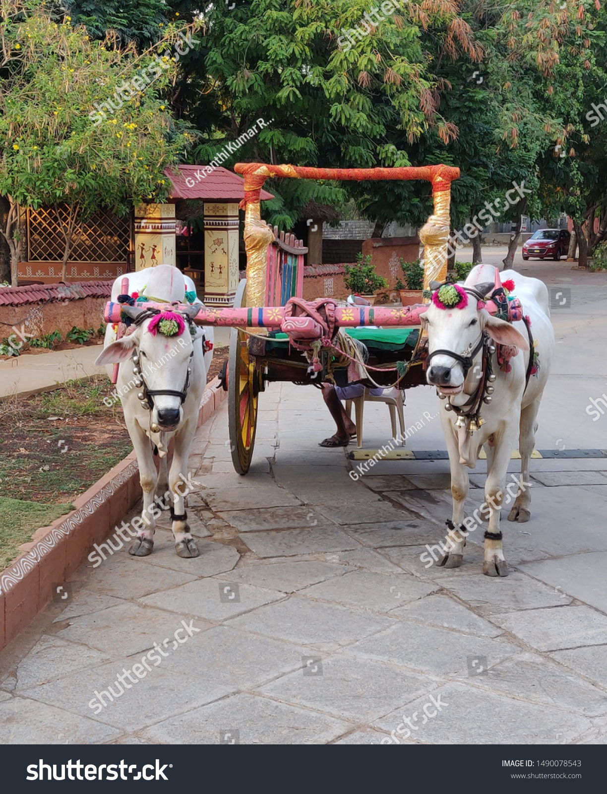 A bullock cart or ox cart is a two-wheeled or four-wheeled vehicle pulled by oxen. It is a means of transportation used since ancient times in many parts of the world.They are still used today  #1490078543