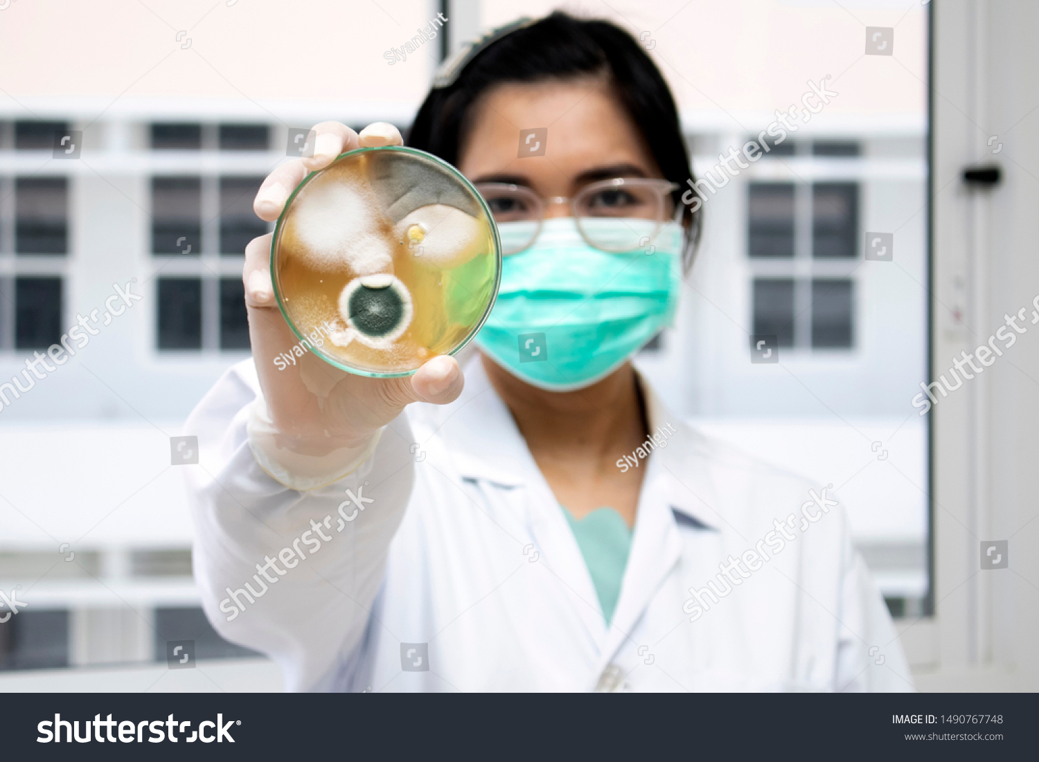 Woman scientist holding molds in petri dish with mea malt extract agar. Medical tests in laboratory experiment for checking fungus from the room. #1490767748