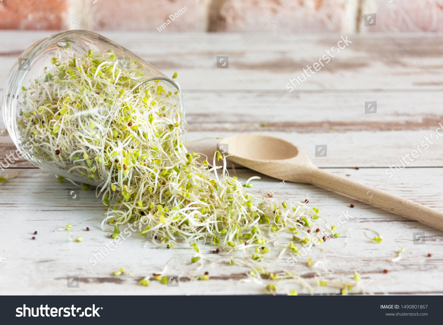 Mix of various sprouts on wooden background. Sprouted seeds. Healthy eating concept. #1490801867