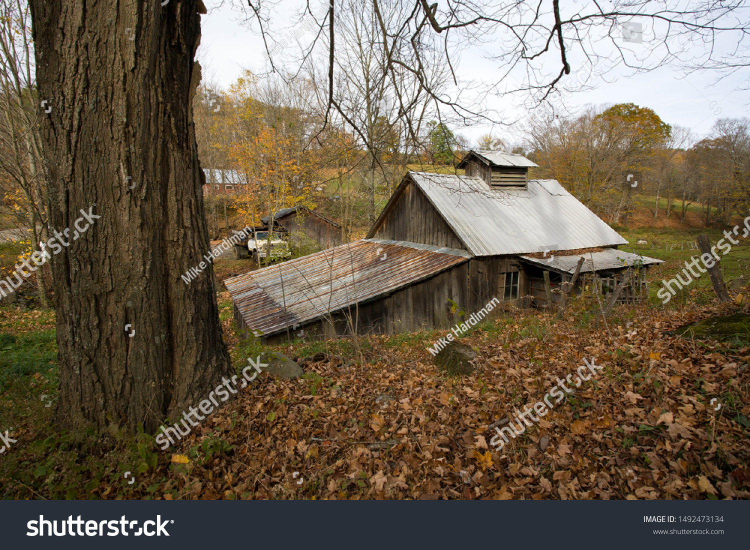 Old Maple Sugarhouse in Guilford, Windham County, Vermont, USA #1492473134