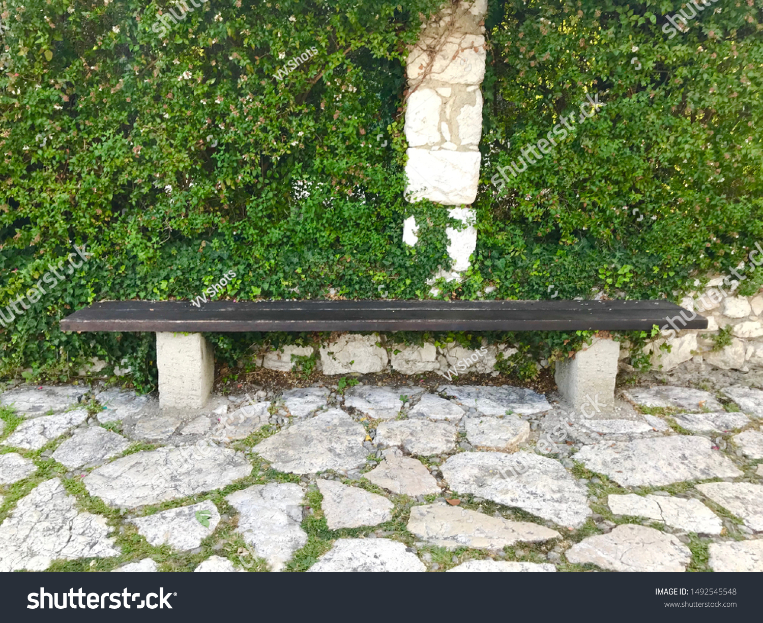 Park bench stone floor and wall leaves foliage tranquil scene #1492545548