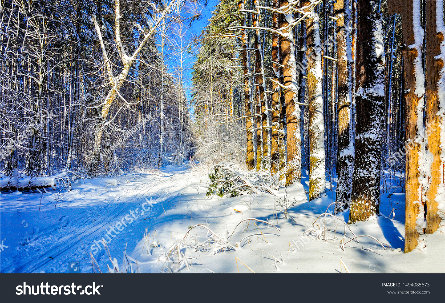 Winter snow forest road wintry landscape #1494085673