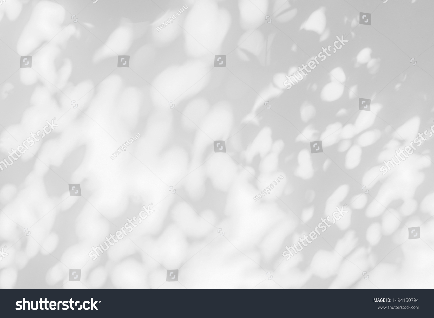 Abstract leaves gray shadow background with light bokeh, natural leaves tree branch falling on white concrete wall texture for background and wallpaper, monochrome, nature shadows art on wall 
 #1494150794