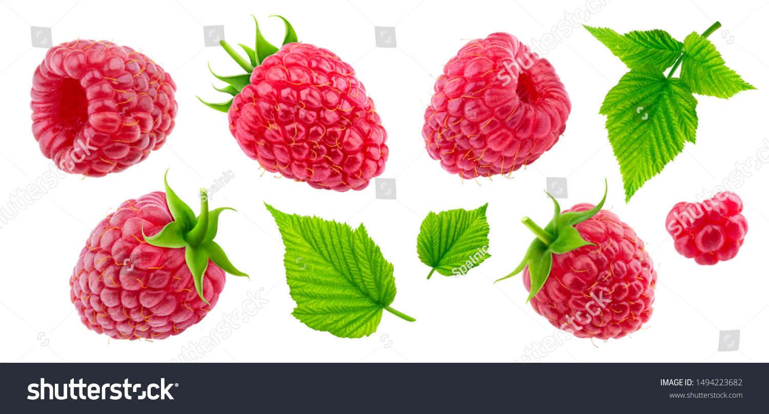 Raspberry collection isolated on white background with clipping path #1494223682