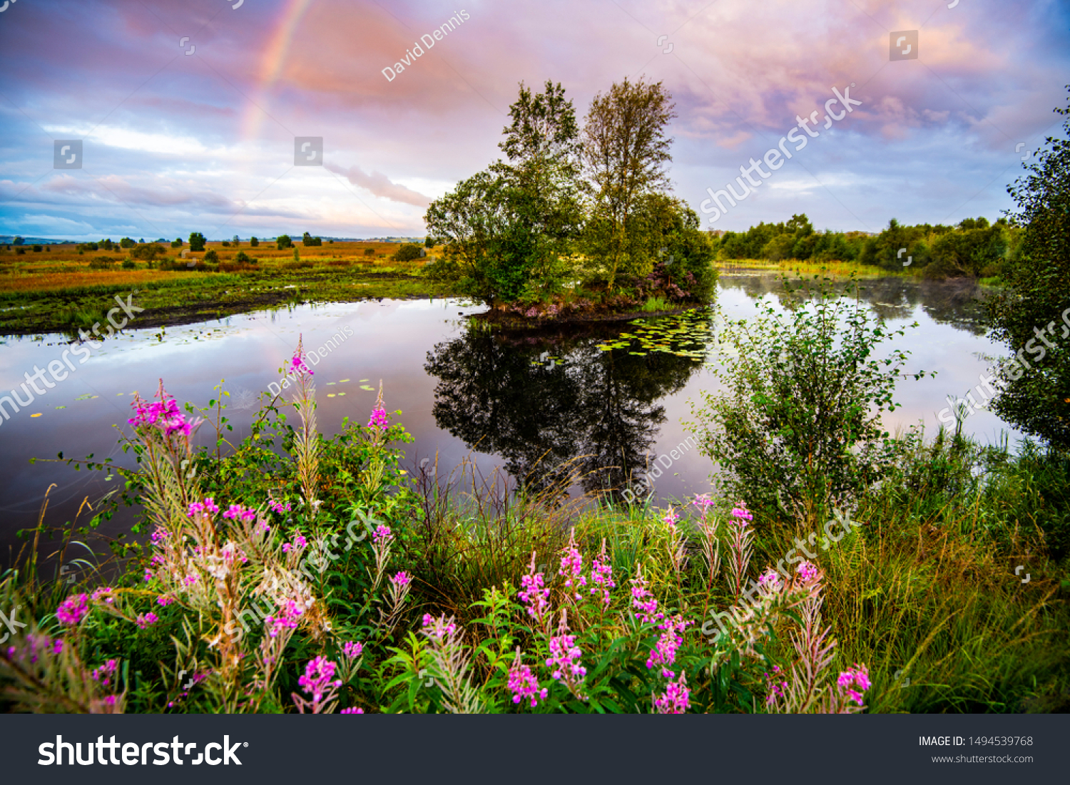 Beautiful lake and marsh landscape at Cors Caron National Nature Reserve,  Tregaron, Ceredigion, Wales #1494539768