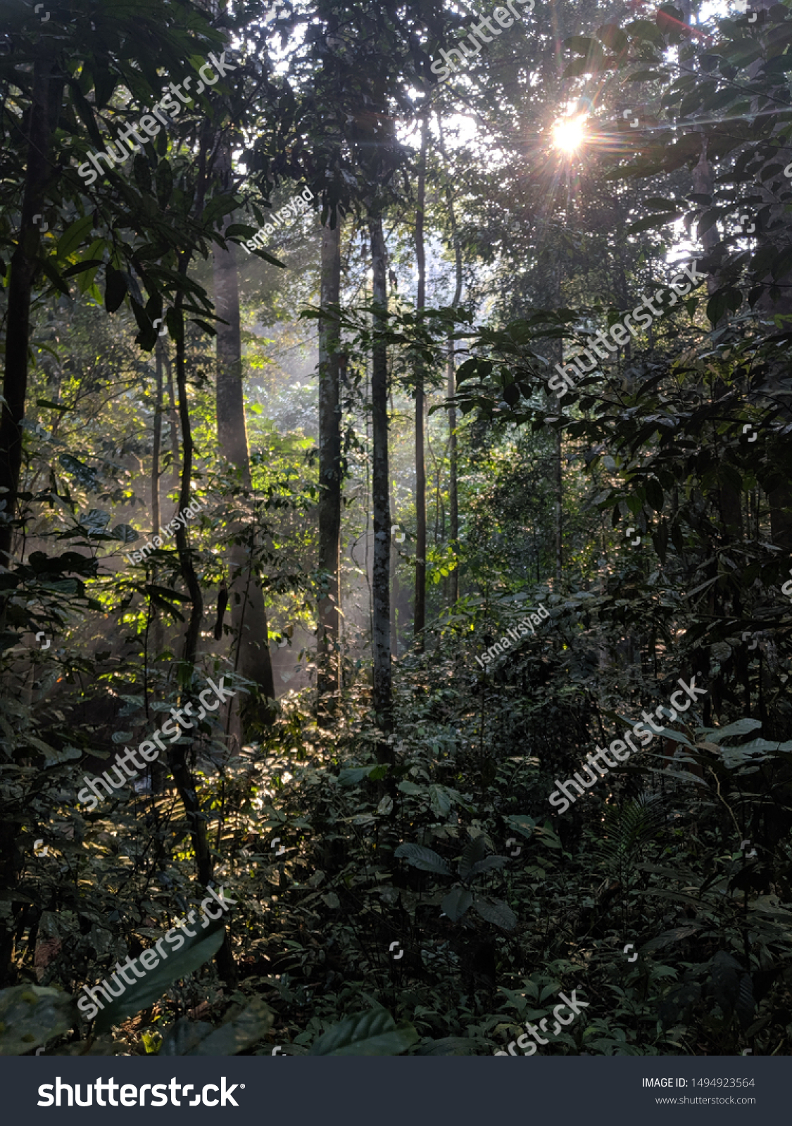 Malaysia's Rainforest View. Shot at Sungai Tekala, Selangor #1494923564