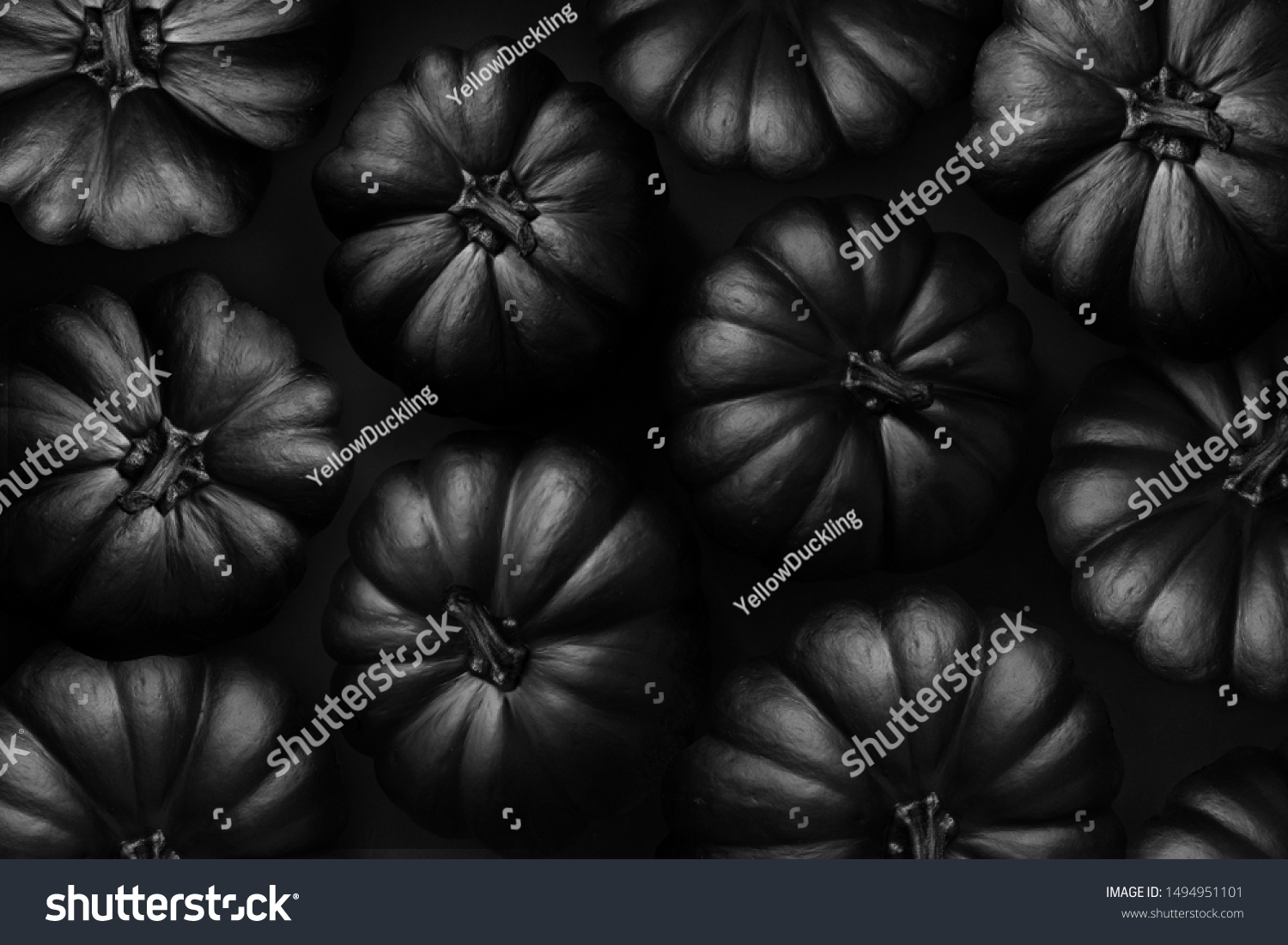 halloween black pumpkin on the black background #1494951101