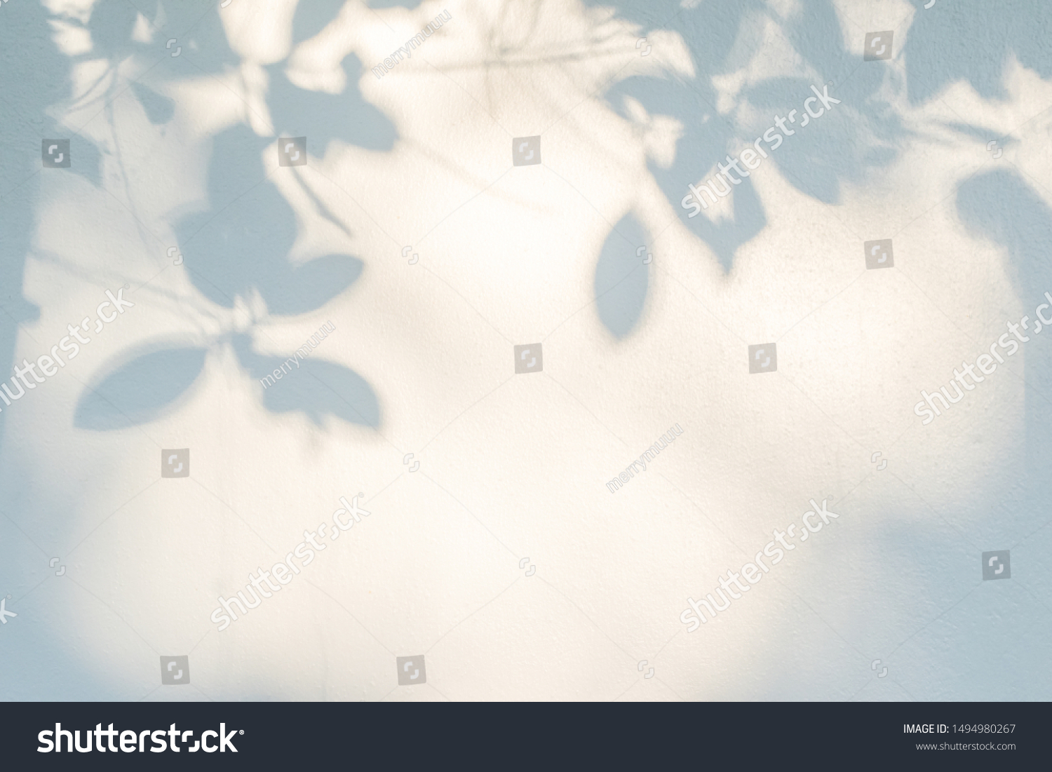 Abstract gray shadow background of natural leaves tree branch falling on white wall texture for background and wallpaper, black and white,  nature shadow pattern art on wall
