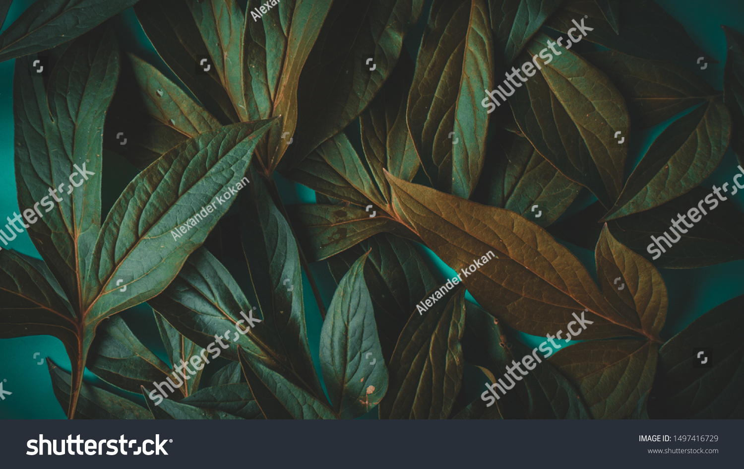 foliage on a blue background, place for text #1497416729