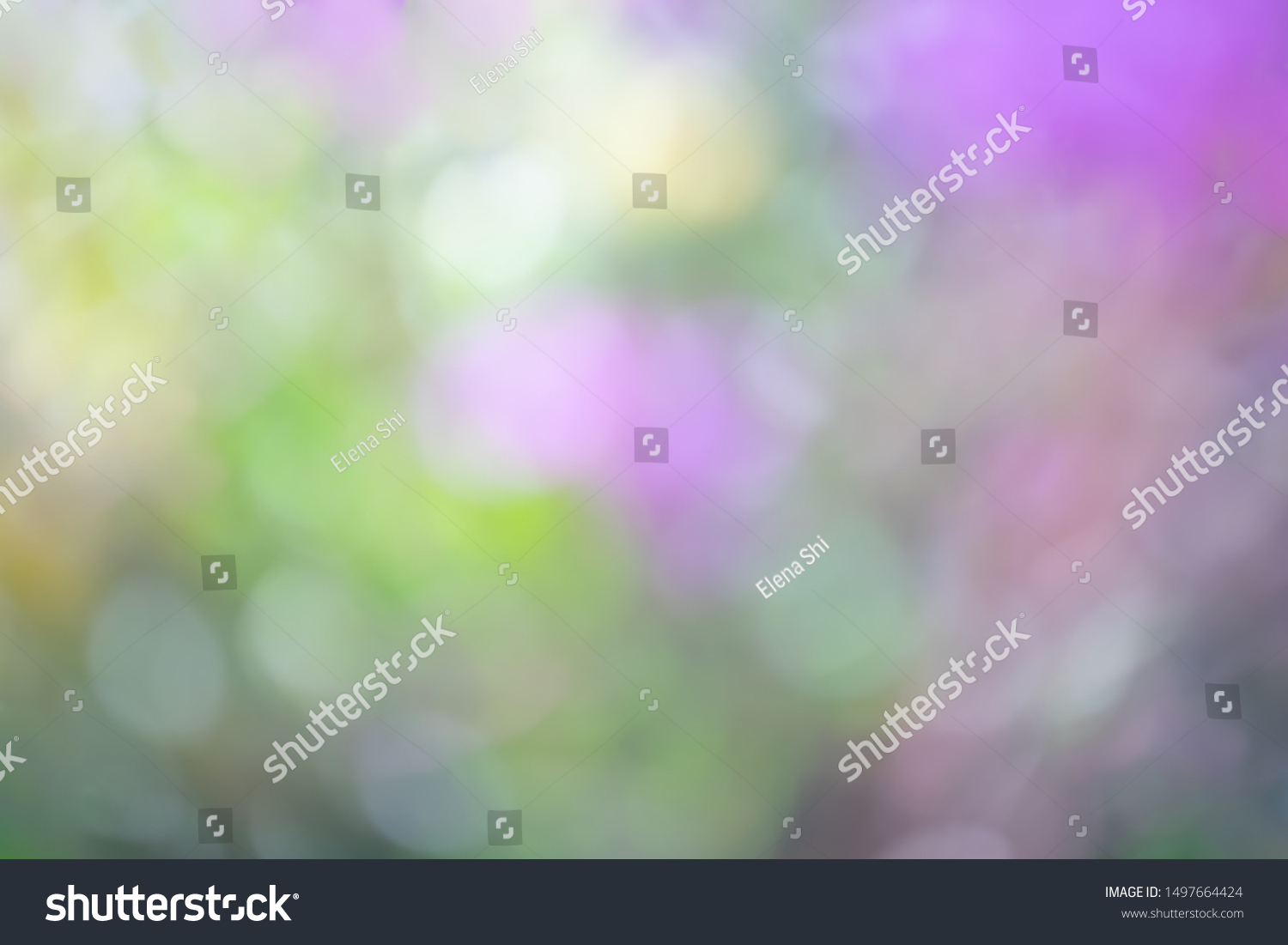 Defocused abstract background in violet-yellow tones. The atmosphere of spring and celebration. #1497664424