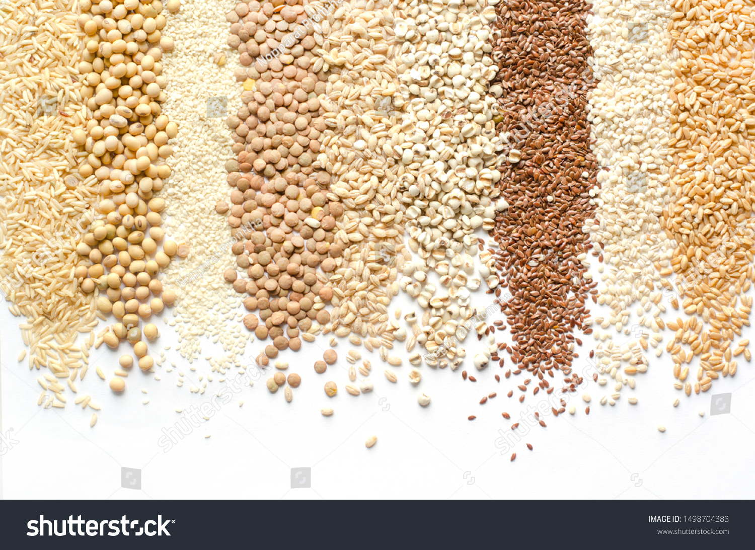 Variety kinds of natural organic cereal or grain seed in stripe shape on white background consisted of rice,soybean,sesame,lentils,wheat,barley,job's tear,flax seed,and pearl barley  #1498704383