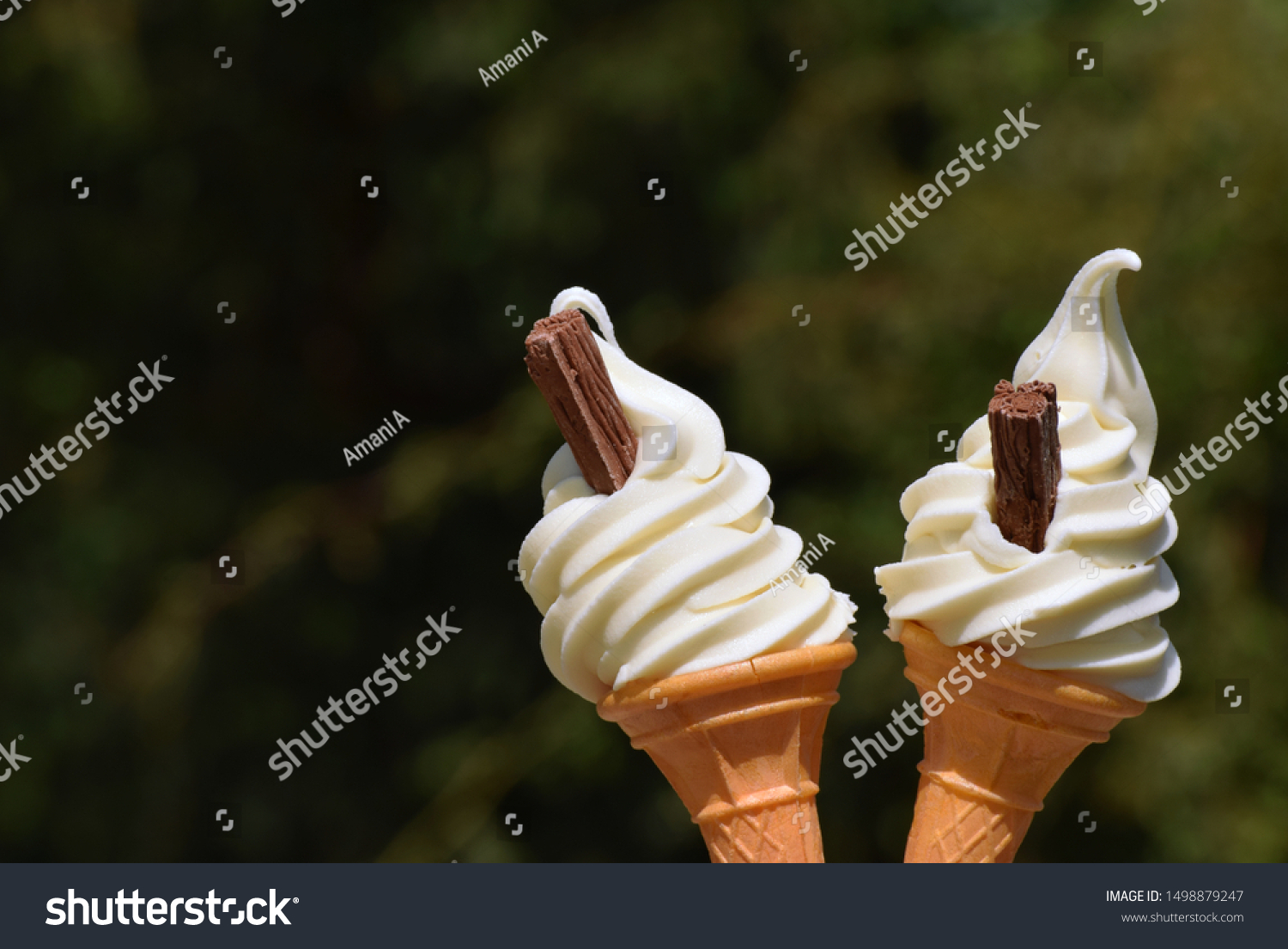 Two Wafer Cones Containing Whipped soft vanilla ice cream with chocolate flakes. Commonly know as flake 99s or Mr Whippy #1498879247