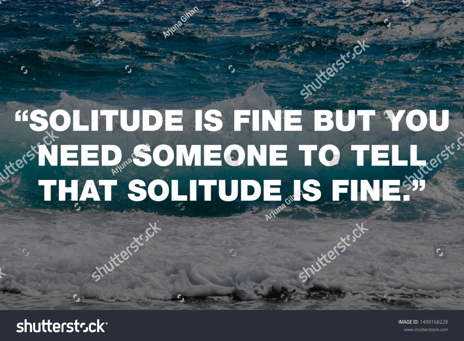 “Solitude is fine but you need someone to tell that solitude is fine.”  #1499168228