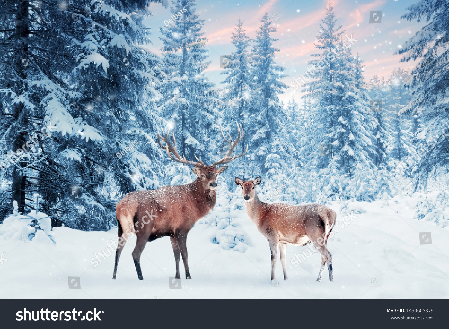 Family of noble deer in a snowy winter forest at sunset. Christmas fantasy image in blue and white color. Pink clouds. Snowing. Winter wonderland. #1499605379