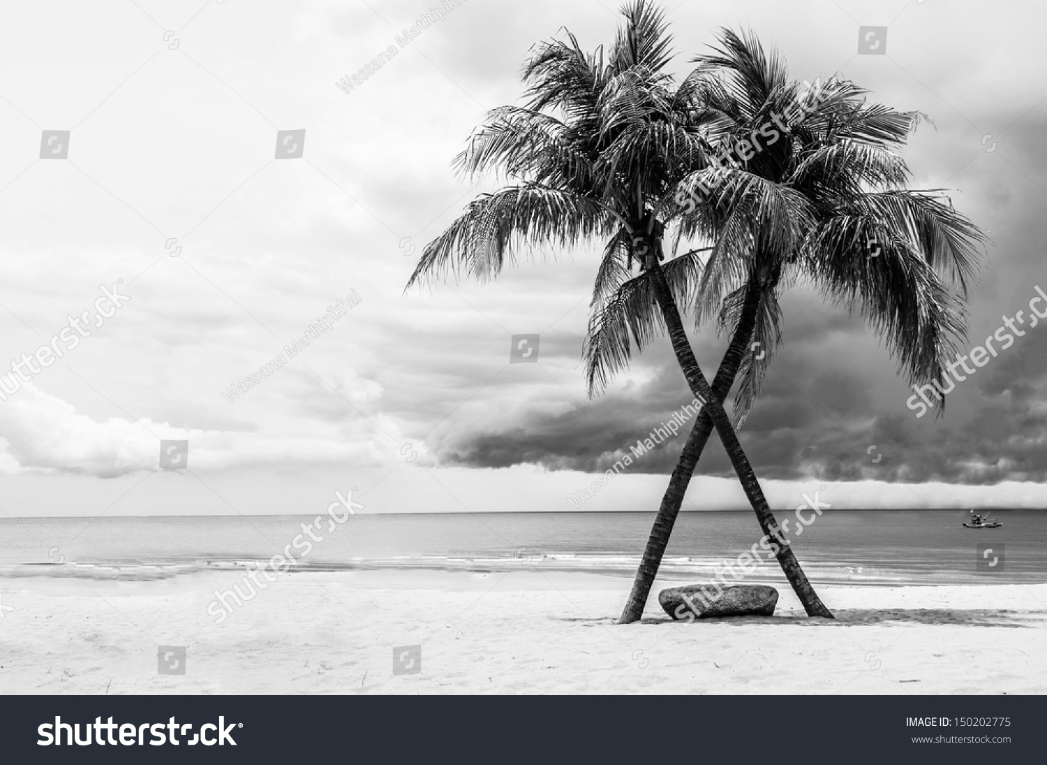Black & White view of Beautiful beach with palms, Thailand #150202775