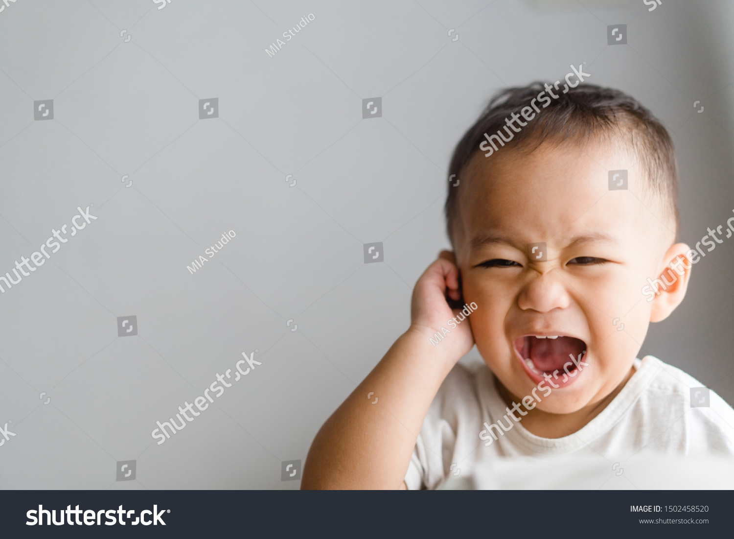 Little toddler boy has earache when insects inside isolated on grey background.2.6 years old baby boy hands touching in ear and screaming. #1502458520
