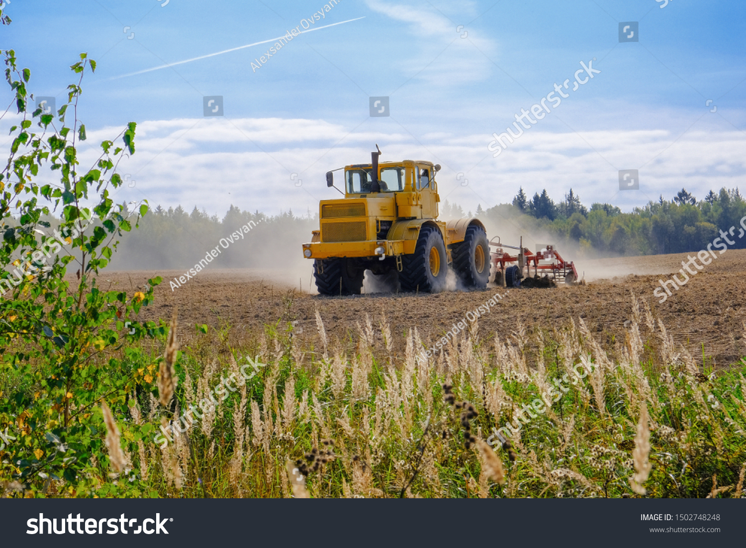 A farm tractor cultivates land after harvesting grain.  #1502748248