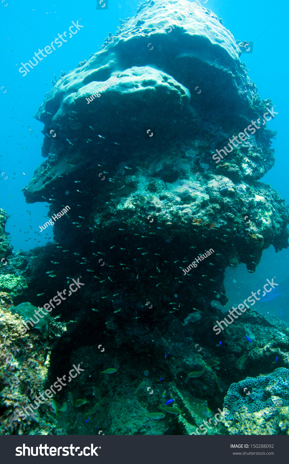 Coral reef_ Porites lutea #150288092